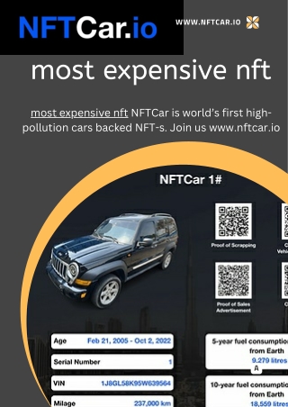 most expensive nft