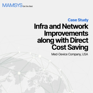Mamsys Case study on Infra & Network Improvement