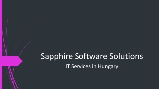 IT Services Provider in Hungary | Software development services in Hungary