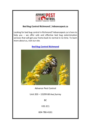 Bed Bug Control Richmond Advancepest.ca