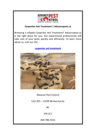 Carpenter Ant Treatment Advancepest.ca