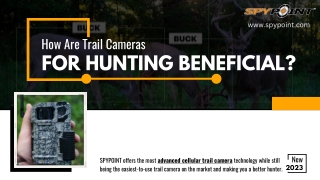 How Are Trail Cameras For Hunting beneficial