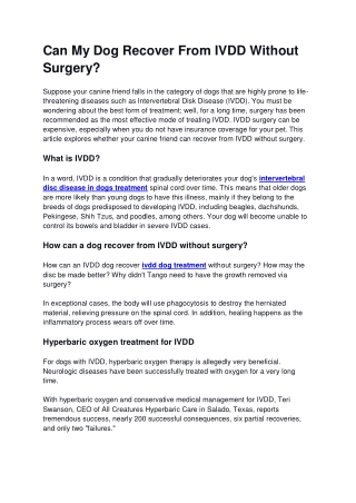 IVDD Dog Treatment Without Surgery in Boynton Beach, FL