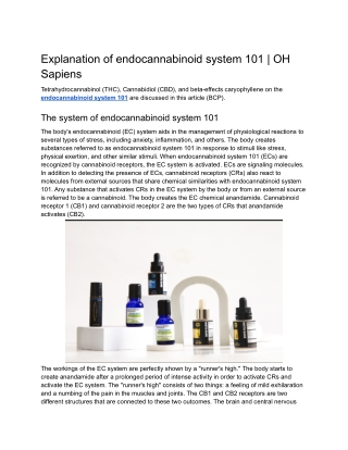 Explanation of endocannabinoid system 101 _ OH Sapiens