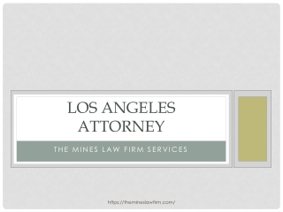Los Angeles Attorney - The Mines Law Firm Services