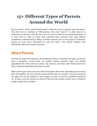 15  Different Types of Parrots Around the World