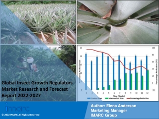 Insect Growth Regulators Market Research and Forecast Report 2022-2027