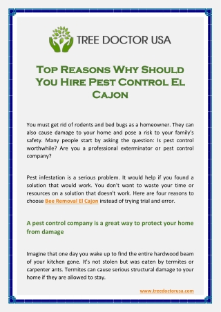 Top Reasons Why Should You Hire Pest Control El Cajon
