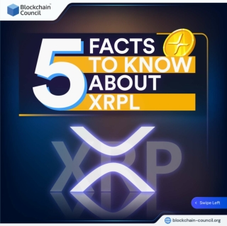 What Is XRP Ledger (XRPL)? How Does It Work?