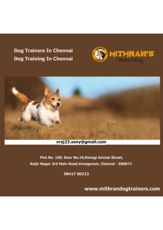 Dog Trainers In Chennai