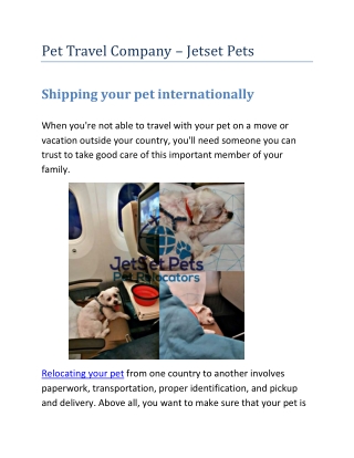 Pet Travel Company – Jetset Pets