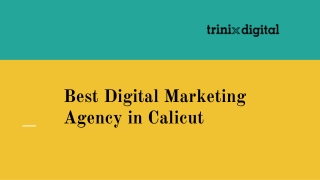 Best Digital Marketing Agency in Calicut