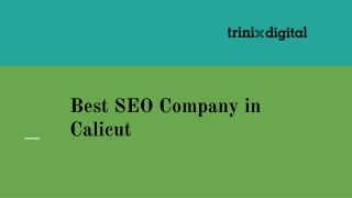 Best SEO Company in Calicut