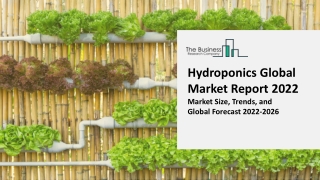 Hydroponics Market
