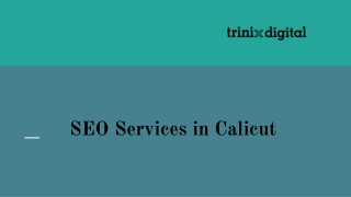 SEO Services in Calicut