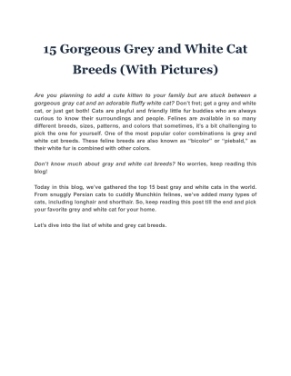 15 Gorgeous Grey and White Cat Breeds (With Pictures)