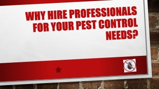 Why Hire Professionals For Your Pest Control Needs