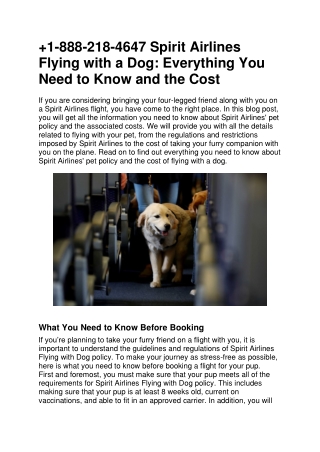 1-888-218-4647 Spirit Airlines Flying with a Dog Everything You Need to Know and the Cost