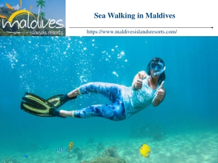 Sea Walking In Maldives