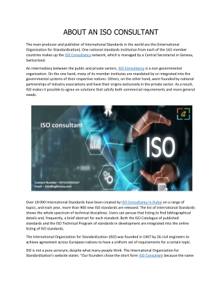 ABOUT AN ISO CONSULTANT