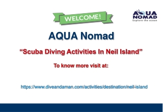 Scuba Diving Activities In Neil Island