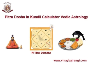 Pitra Dosha in Kundli Calculator Vedic Astrology
