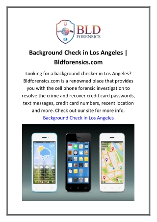Background Check in Los Angeles  Bldforensics.com