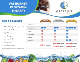 Silverlake Mobile IV Hydration Therapy – Westside Wellness