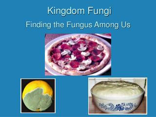 Kingdom Fungi