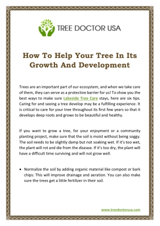 How To Help Your Tree In Its Growth And Development