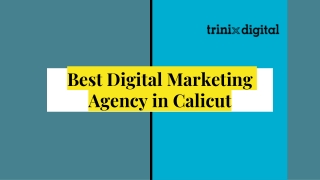 Best Digital Marketing Agency in Calicut