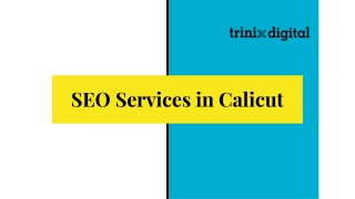 Best SEO Services in Calicut | SEO Company