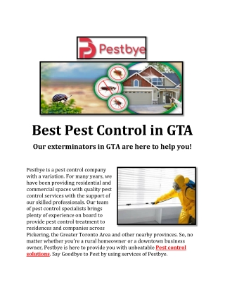 Best Pest Control in GTA