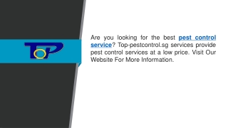 Search For The Pest Control Service At A Low Cost   Top-Pest Control