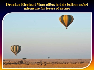 Drunken Elephant Mara offers hot air balloon safari adventure for lovers of nature