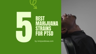 5 Best Marijuana Strains for PTSD