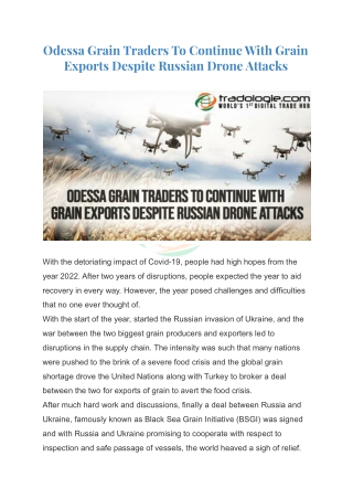 Odessa Grain Traders To Continue With Grain Exports Despite Russian Drone Attacks