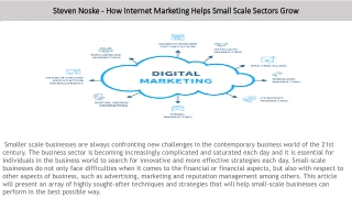 Steven Noske - How Internet Marketing Helps Small Scale Sectors Grow