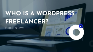 Who is a WordPress Freelancer?