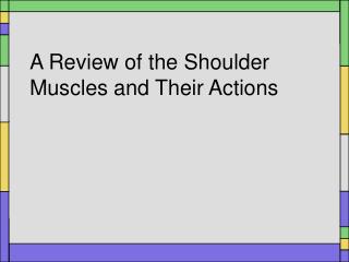A Review of the Shoulder Muscles and Their Actions