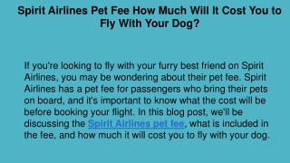 1-888-218-4647 Spirit Airlines Pet Fee How Much Will It Cost You to Fly With Your Dog