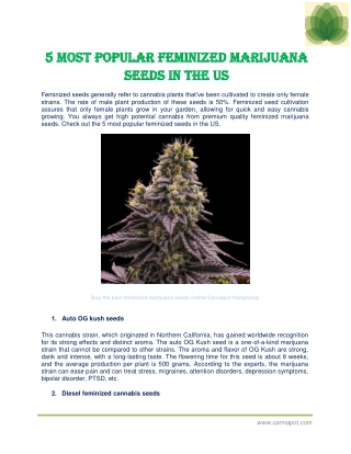 5 most popular feminized marijuana seeds in the US
