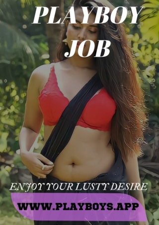 What are playboy jobs and their services