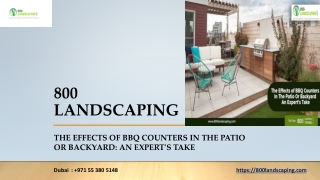 The Effects of BBQ Counters In The Patio Or Backyard