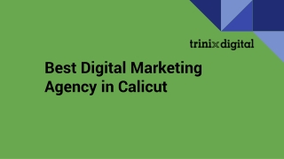 Best Digital Marketing Agency in Calicut