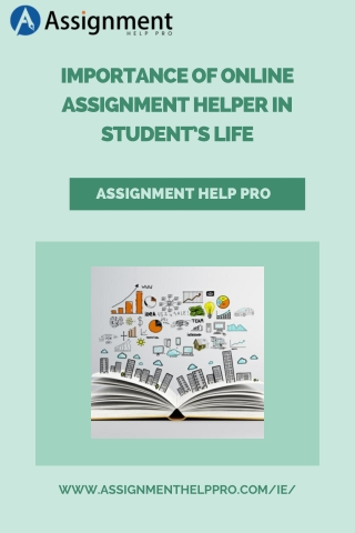 Assignment Help Ireland