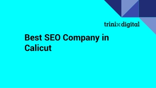 Best SEO Experts in Calicut | Trinix Digital