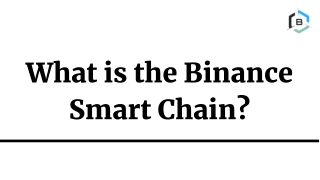 What is The Binance Smart Chain?