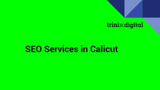 SEO Services in Calicut