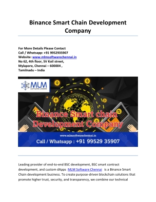 Binance Smart Chain Development Company (1)